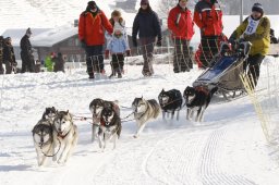 Lenk 2012 SM